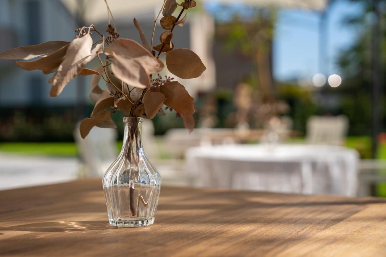 B&B Villa Ebe SantʼArcangelo di Romagna Zewnętrze zdjęcie